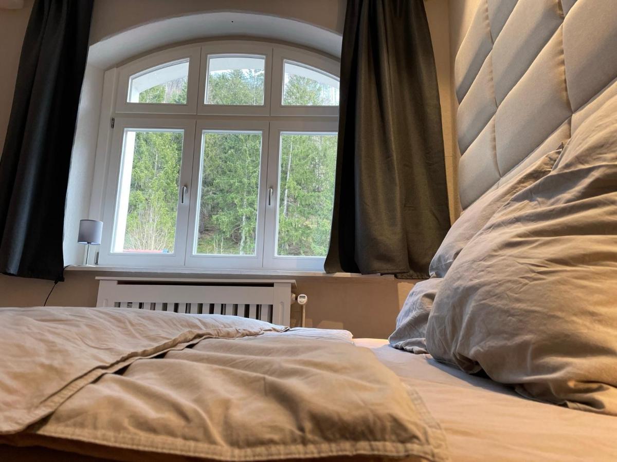 Ferienwohnung Bergrauschen - Waldloft Goslar Exterior foto
