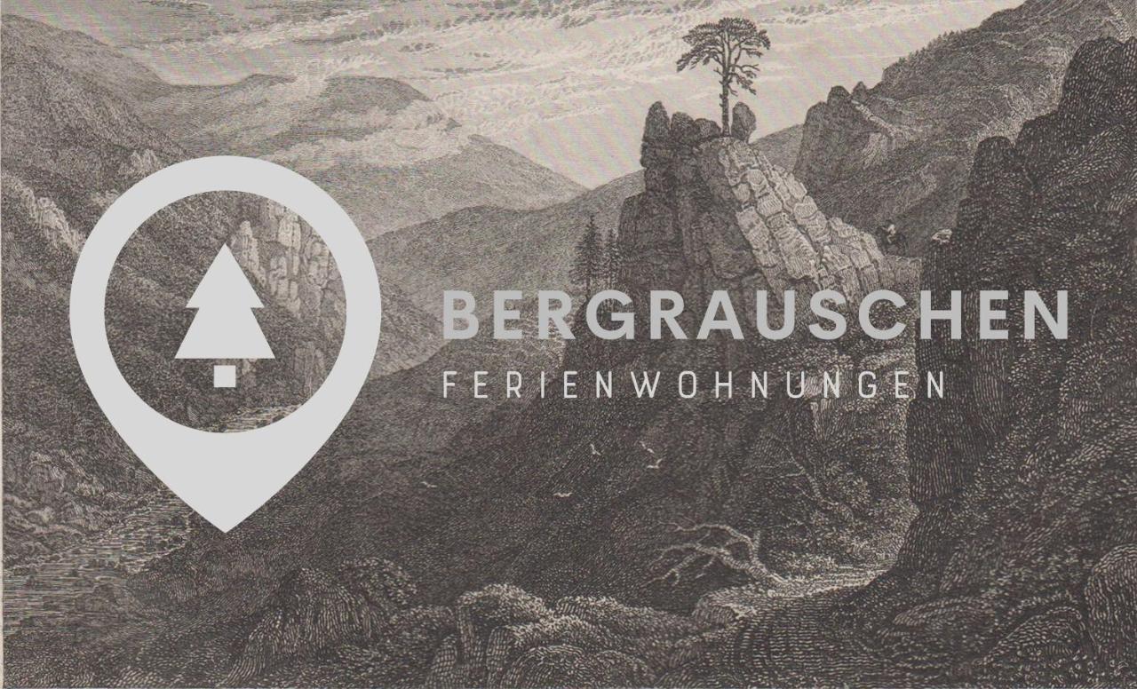 Ferienwohnung Bergrauschen - Waldloft Goslar Exterior foto